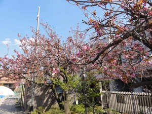 DSC02783